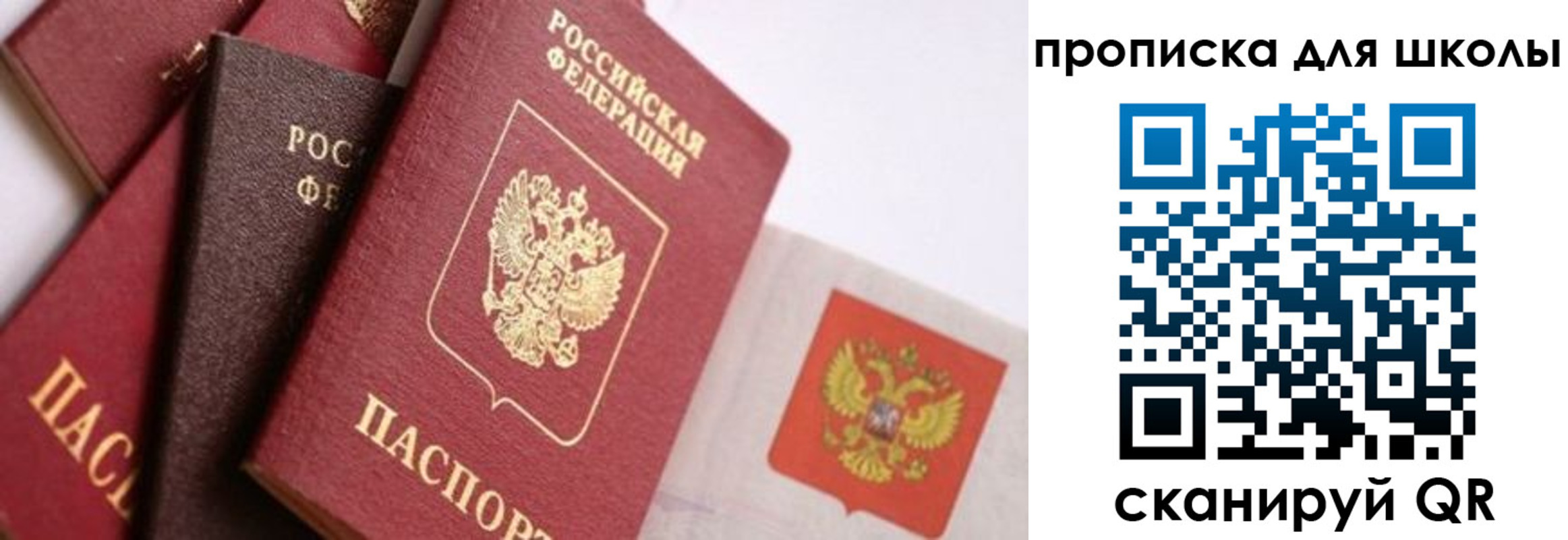 прописка поиск в Гае